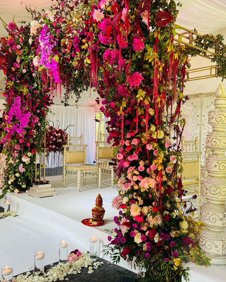 MidlandMandaps's tweet photo. Beautiful fusion weddings at @nunsmerehall #floralmandap #goldmandap #freshfloraldecor #summerweddings #anikagoldmandap #geometricmandap #largefloraldecor @redfloralarch #midlandmandaps https://t.co/2QC4LrhDiX