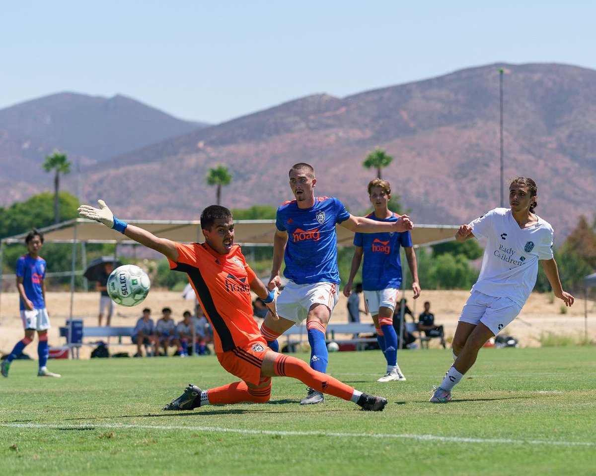 LoyalSelect's tweet image. We make the hard work look easy.