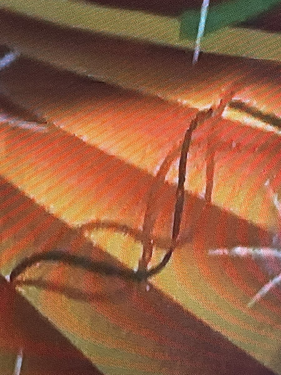 SparkleHoof's tweet photo. @matthewcobb Possibly Triple Helix ?…Triple-stranded DNA structures were common hypotheses in the 1950s when scientists were struggling to discover DNA's true structural form. https://t.co/ZERUDuNQ3k https://t.co/HhU4qkvN54