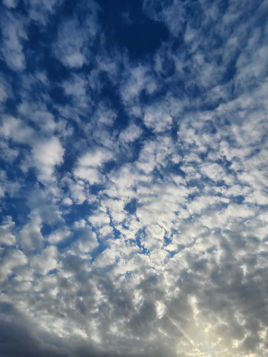 logicalblock's tweet image. Somedays #Seattle takes your breath away #nofilterneeded