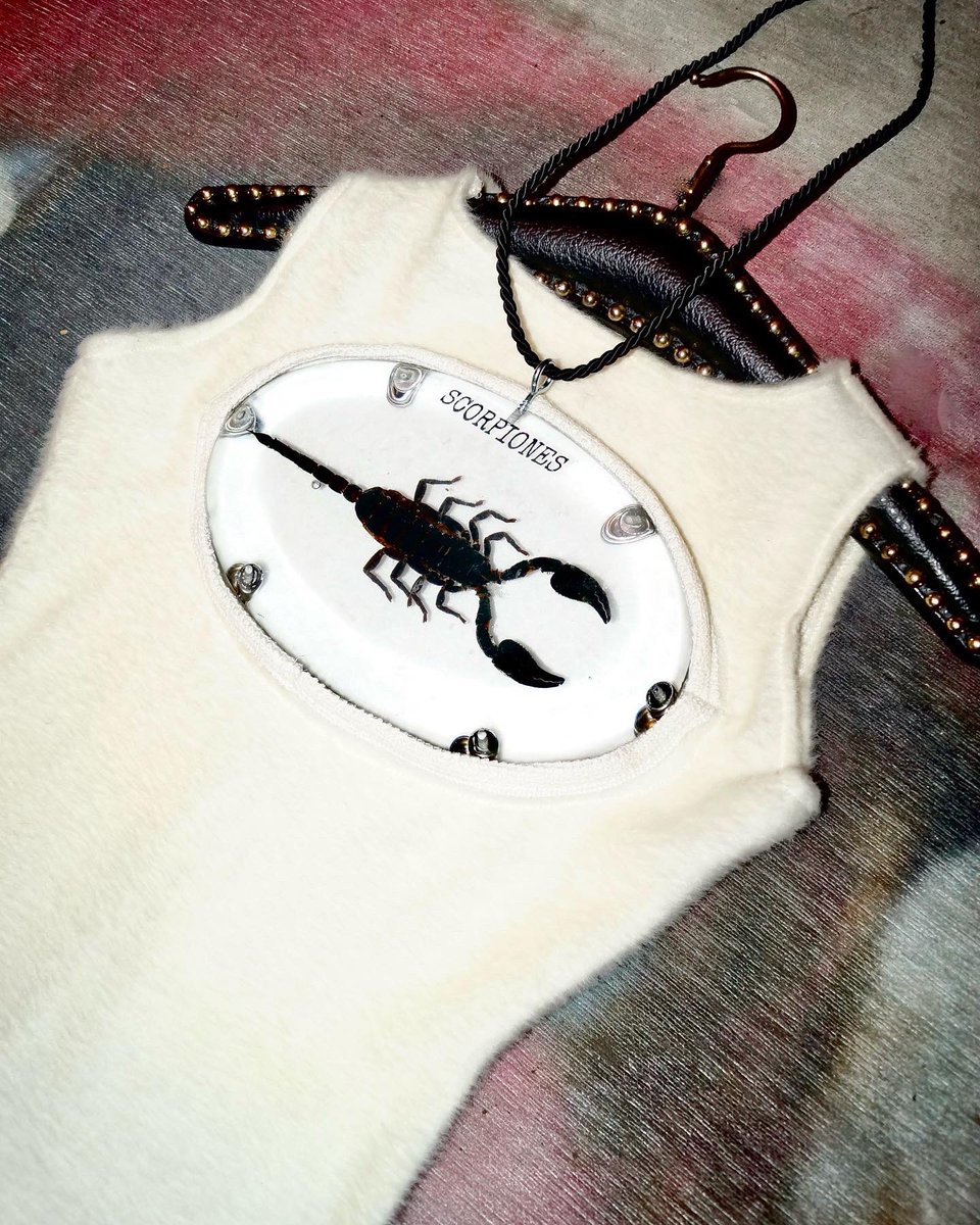 Korrupted90s's tweet photo. Taxidermy Dress†
Sewn &amp; Resined By Me。 https://t.co/OIAS0QXwxM