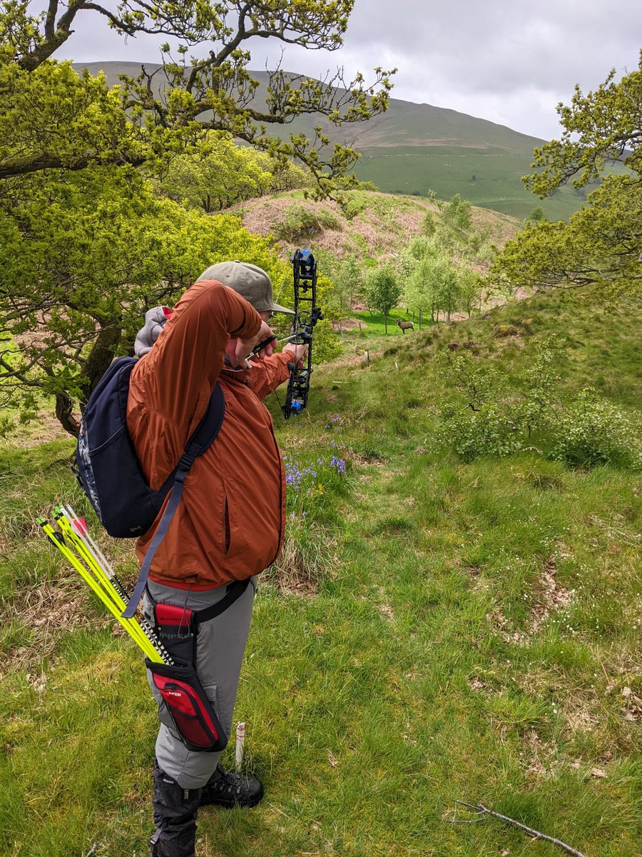 Mark Hipwell tweet media