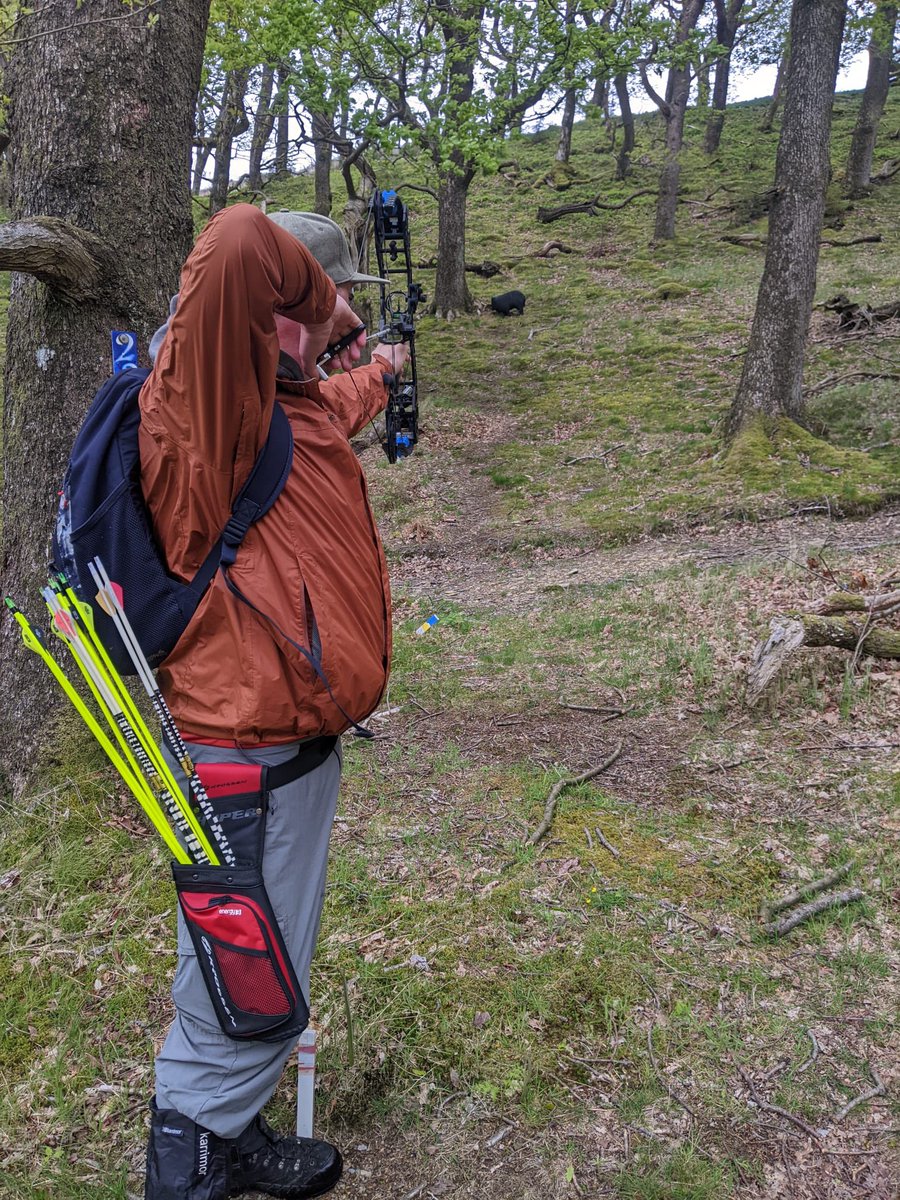 Mark Hipwell tweet media