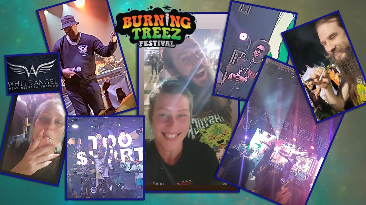 problystonedttv's tweet photo. Thank you to White Angel Farms for the VIP tickets to #BurningTreezFestival Love being part of the SoCal #420community https://t.co/V8cZ23leFy