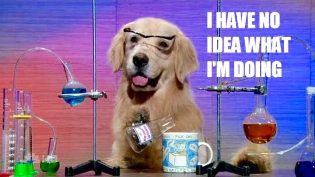 Jacob Morales Schekman tweet media