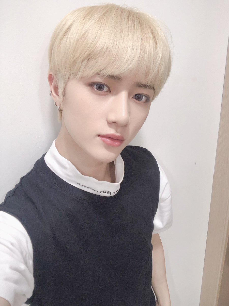 𝐏AW ℙ♡WER! (@pawscraft) / Posts / X