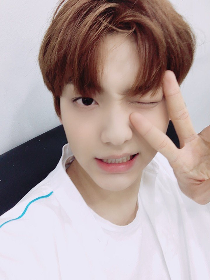 𝐏AW ℙ♡WER! (@pawscraft) / Posts / X