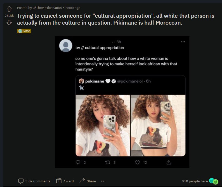 pokimane on Twitter: "lowkey this made me laugh, also wanna clarify