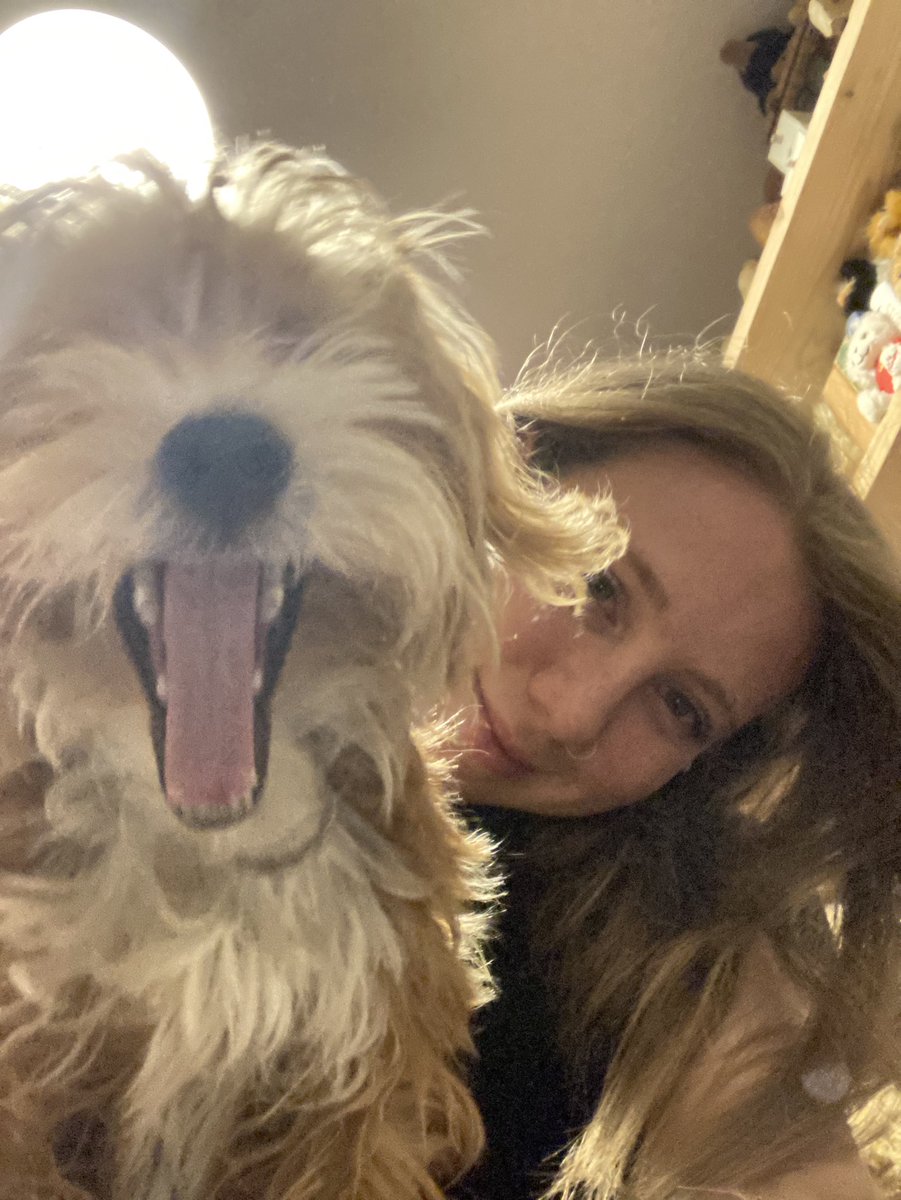 RodeaxRodeo's tweet photo. Hey look a pupper… and he’s happy to see ya! 😊 https://t.co/XJY5IvFTaX