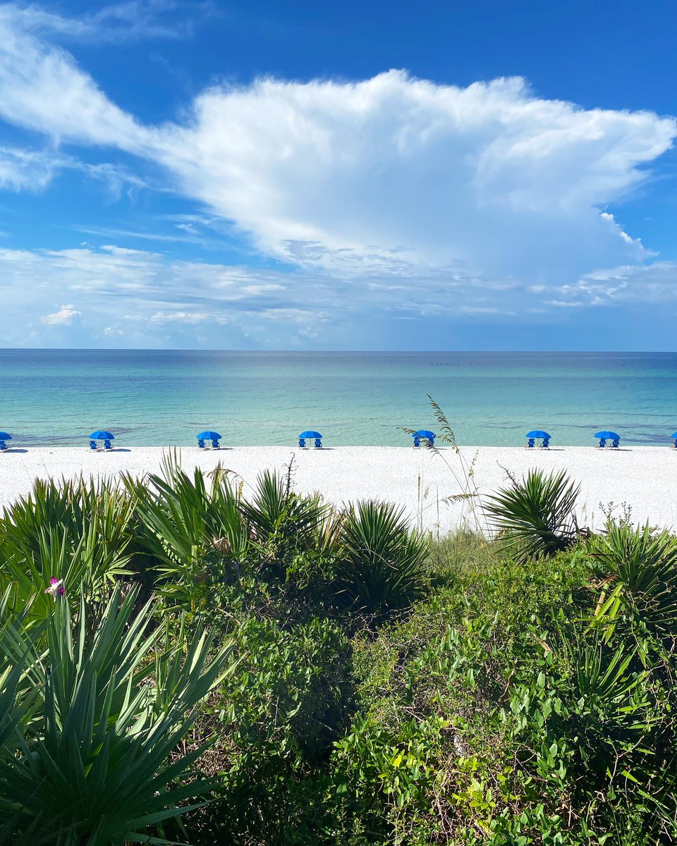 Today’s views. 👌