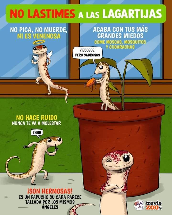 yaracalcagno's tweet photo. Atención. https://t.co/CKW7vPXVjG