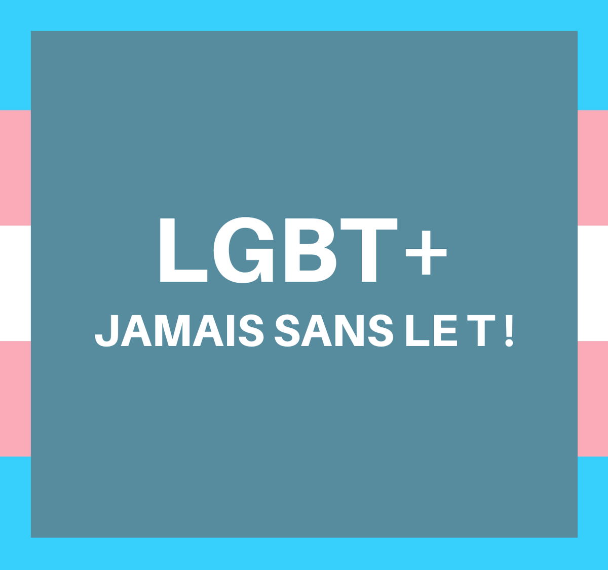 lecoindeslgbt's tweet photo. Face aux personnes (parfois LGB !) qui cherchent à détruire notre communauté, je propose qu'on affiche notre unité et notre force ! 
Republiez cette image avec ce hashtag : #LGBTJamaisSansLeT ! https://t.co/cA4k8Cg9SO