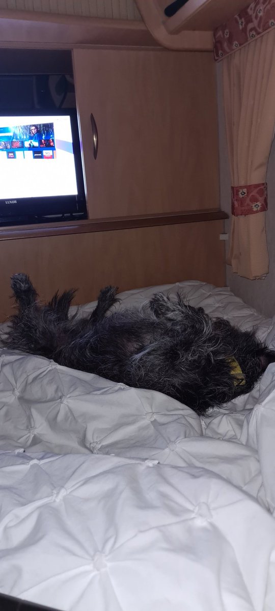 PatterjackThe's tweet photo. I've had a very busy day. https://t.co/wvsudTbBfY