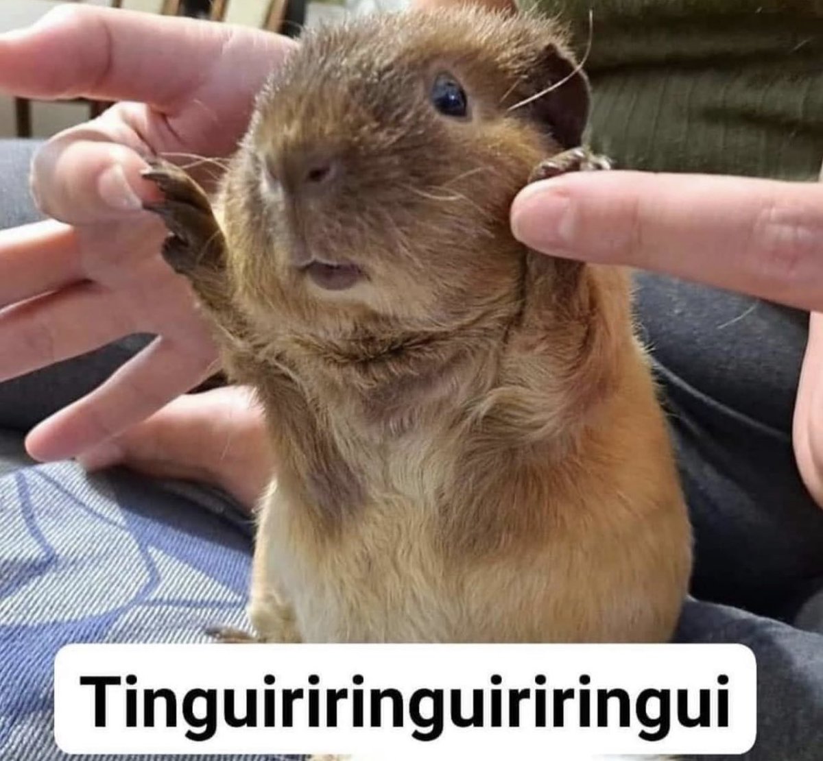 Guarromantico_'s tweet photo. Nadie:

Mi abuelita cuando era bebé: https://t.co/ERuL6XKuq9