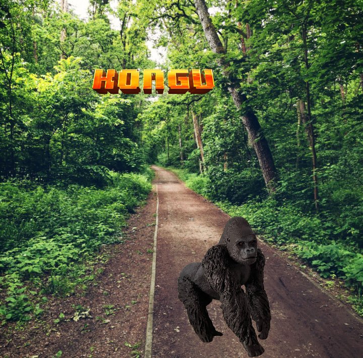 TheBalancer | KonguNFT tweet media