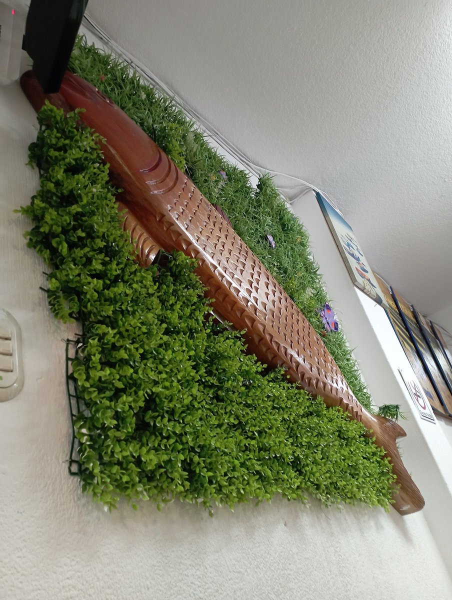 ralebace's tweet image. Si me ven, no me saluden, gracias.

😊

#LosChavos
#CevicheTime🦐🍤🦐