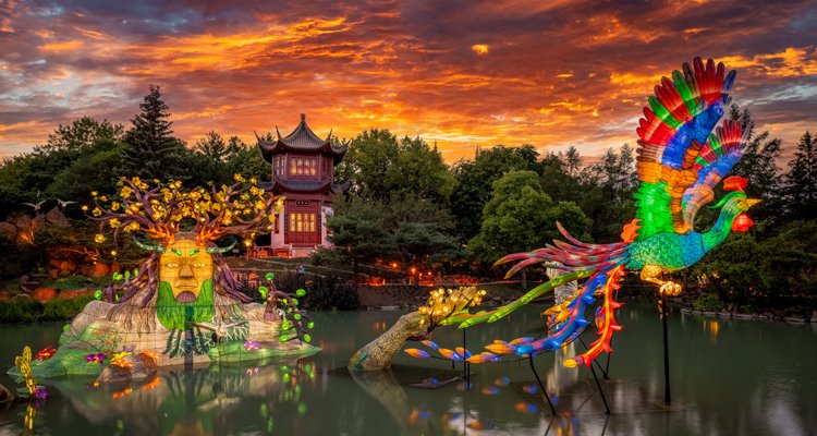 themontrealer's tweet photo. GARDENS OF LIGHT - 30 years of magic
Come discover or rediscover this magical circuit highlighting the #Jardinbotanique's 3 cultural gardens.
#botanticalgarden @EspacePourLaVie #Montreal #Gardensoflight #ChineseGarden #JapaneseGarden #FirstNationsGarden
https://t.co/LxThJJKytu https://t.co/gg9ZbBoZBy