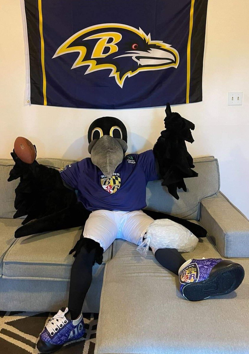 Ravens's tweet photo. Thanks for all your concerned tweets 💜

Poe took some damage to his drumstick and ruffled some feathers last night during his Mascot Classic. 

We’ll continue to share updates on Poe’s status, but he’s resting comfortably in his perch awaiting further test results. https://t.co/WFAHn3n4W2