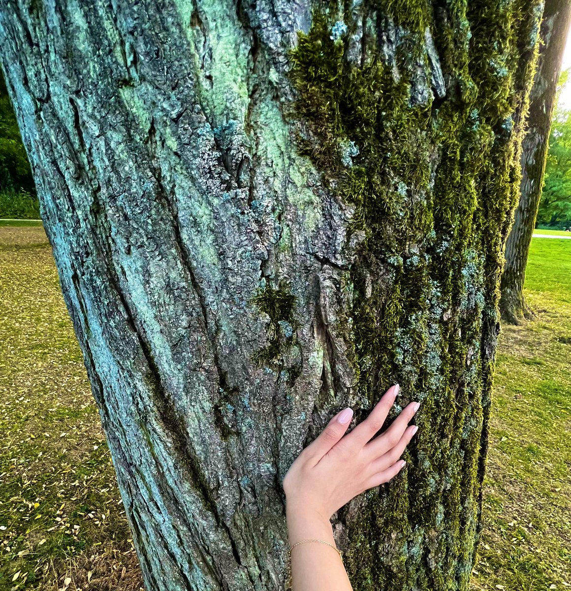 Go0ch's tweet photo. A day with nature 🧘🏻‍♀️ https://t.co/LYpVAbwK67
