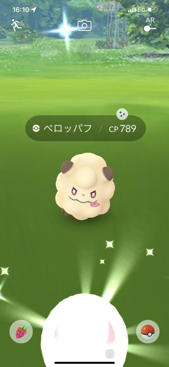Mrbon333's tweet photo. フェスお疲れ様でした🙋♂️
NEW色違い
・ピカチュウ(スカーフ)♀
・ペロッパフ
色違いが全然出なくて渋かった😭
#pokemongo
#pokemongojapan
#pokemongoDE
#ポケモンGOFest2022フィナーレ
#色違い https://t.co/40ILknsQ3t
