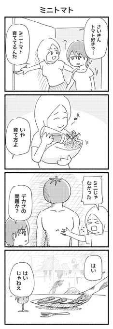 おはようございます☺️
今日も元気にミニトマト食べろ😊

#4コマ漫画 #ミニトマト #育成 