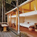 ツイートに含まれる画像