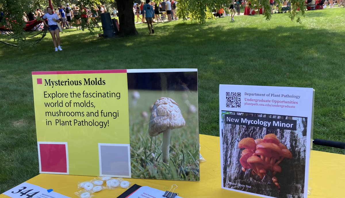 OSUPlantPath's tweet photo. Lots of people connecting with plant diseases out here! #StudentInvolvementFair #OSUWelcomeWeek https://t.co/vHCnFX4kcM