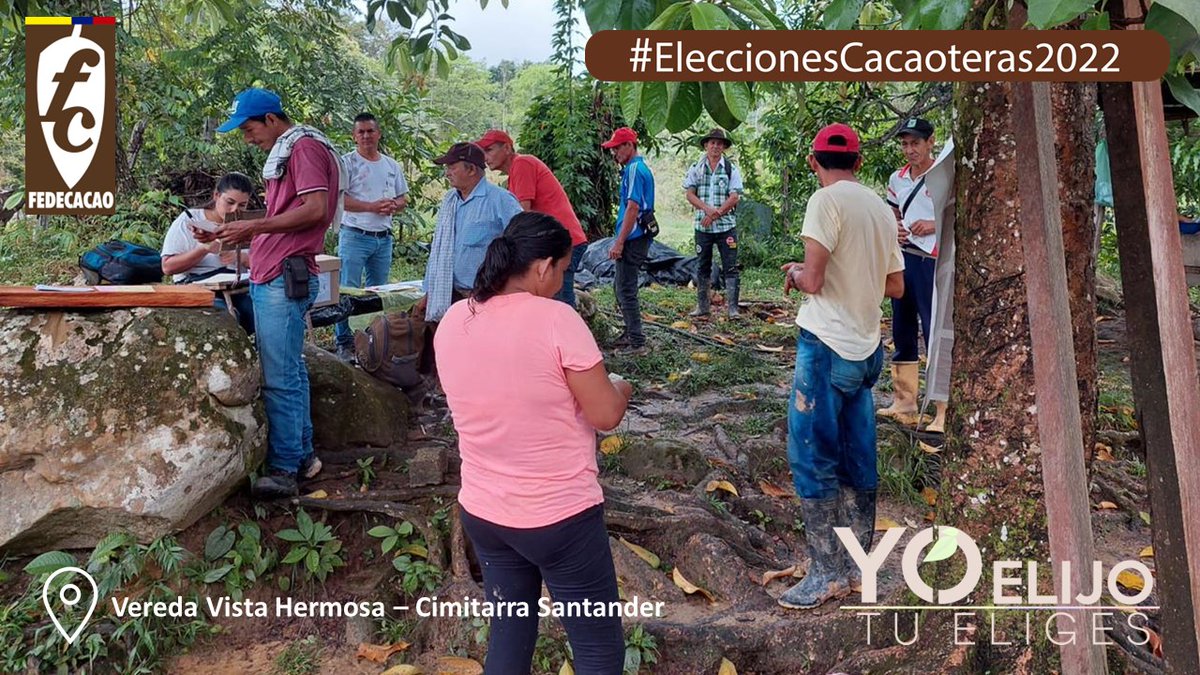 fedecacao's tweet photo. A esta hora va culminando nuestro proceso electoral #EleccionesCacaoteras2022  desde Vista hermosa-Meta, Vda Palmera-San Vicente de Chucuri, san Pedro de Urabá-Antioquia y Cimitarra Santander.
#FelizDomingo #Cacao #CacaoColombiano #Chocolate #Colombia #Ilovecacao #Bogota https://t.co/Ebnjkbjhbm