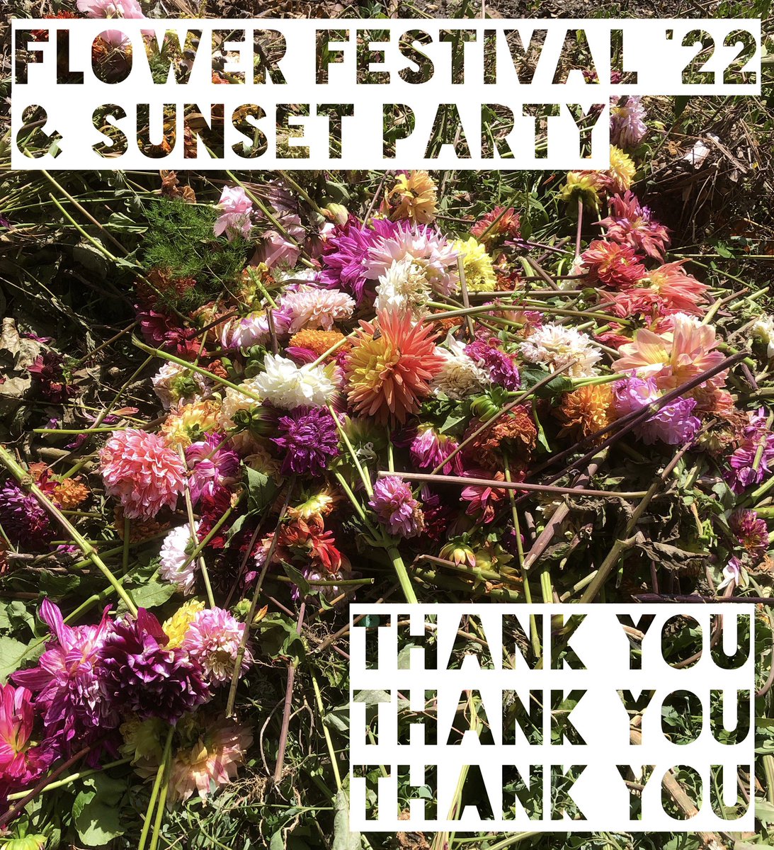 What Cheer Flower Farm tweet media