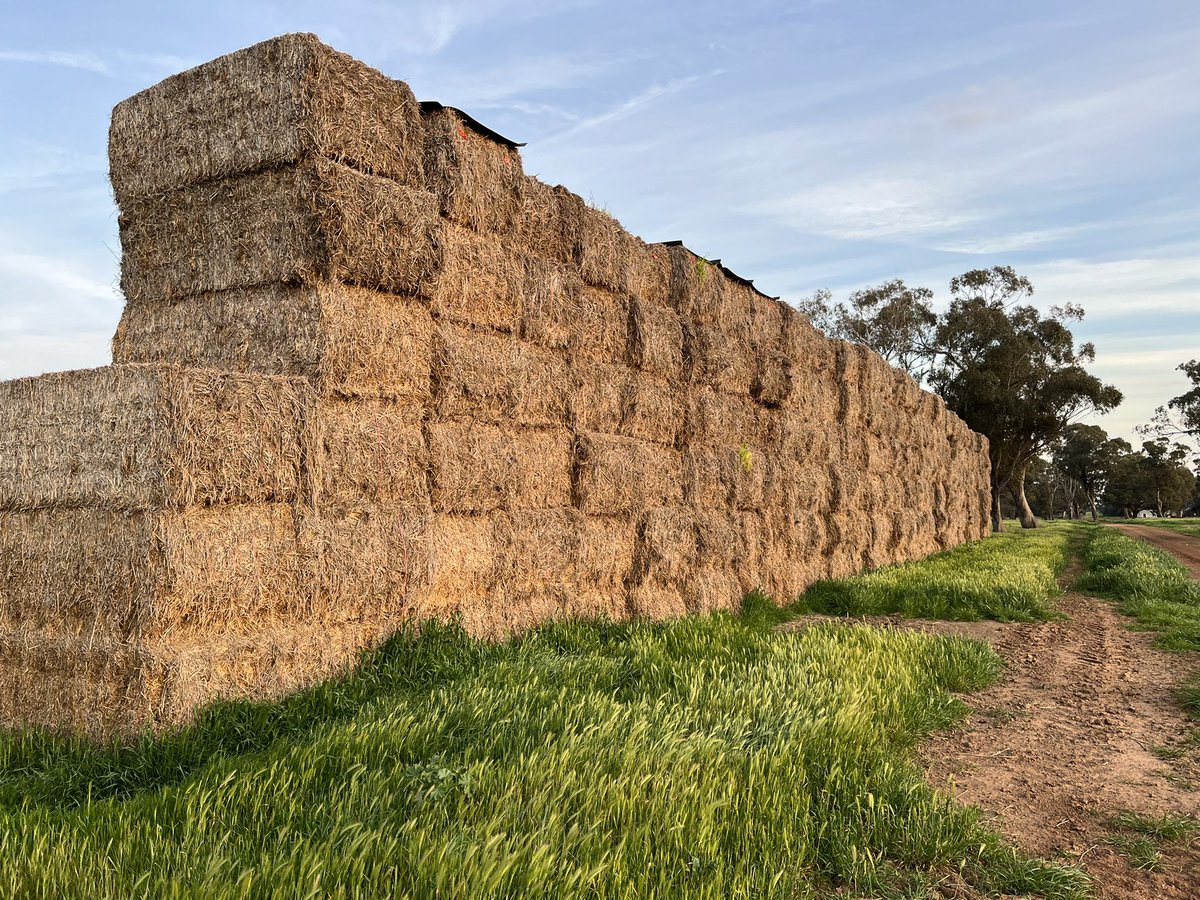 FOR SALE : First cut Lucerne pasture hay. Baled Nov21. Average bale weight 530kg. $120/tonne on farm. Freight options available. Message or call Adam 0428178737