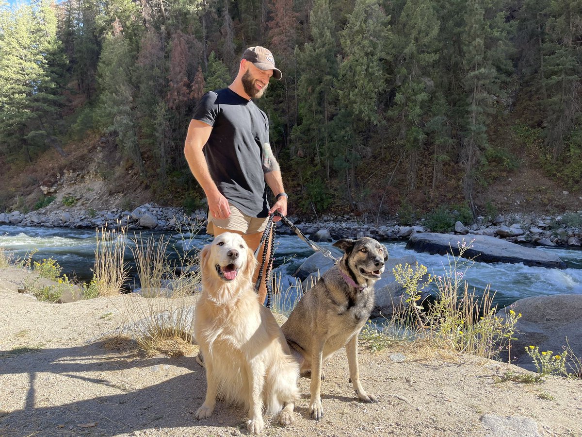 aricrtaylor's tweet photo. @elonmusk Starlink is working f*cking great. Has enabled me to be connected anywhere with my cybersecurity job!  Sold everything and traveling the country with the dogs ! https://t.co/v84N1ZAu2Z
