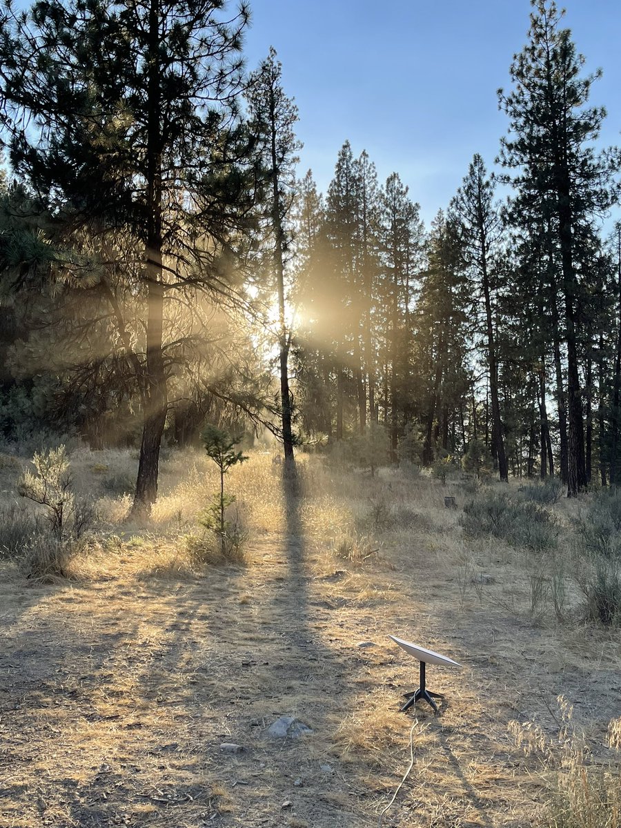 aricrtaylor's tweet photo. @elonmusk Starlink is working f*cking great. Has enabled me to be connected anywhere with my cybersecurity job!  Sold everything and traveling the country with the dogs ! https://t.co/v84N1ZAu2Z
