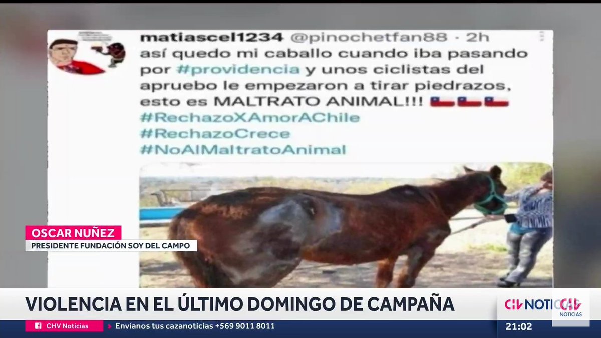 BotCheckerCL's tweet photo. La cuenta que creó la falsa noticia del caballo herido es de la misma fábrica de bots (ligada a Melnick y Marinovic) que hace unas semanas difundió tweets falsos de @ClaudiaPizarro  y @danieljadue. 

Nuevas cuentas a reportar: 
@pinochetfan88 
@basedchud88

*88: Signo Nazi https://t.co/iAZm2rWG1g