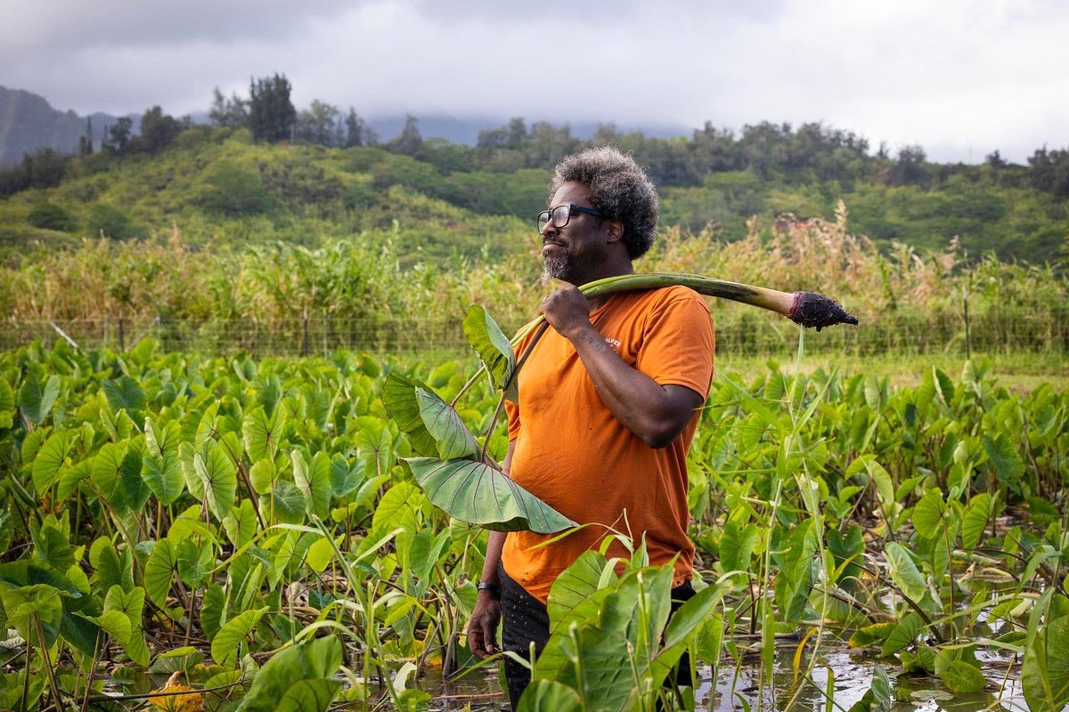 wkamaubell's tweet photo. The season finale of #UnitedShades last Sunday was about how Hawai’i is marketed out to the world and how Native Hawaiians are treated on the islands. 

If you haven’t watched it yet, please do before considering a vacation to Hawai’i. #hawaii https://t.co/DRpy4OExeG
