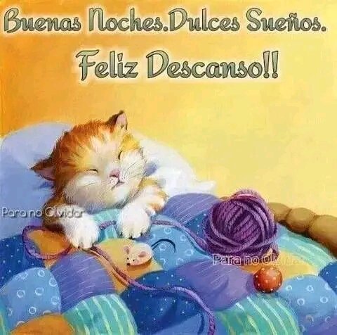 Buenas noches mañana es otro dia que tenga dulces sueños 😴
#CuídateDeLaCovid19