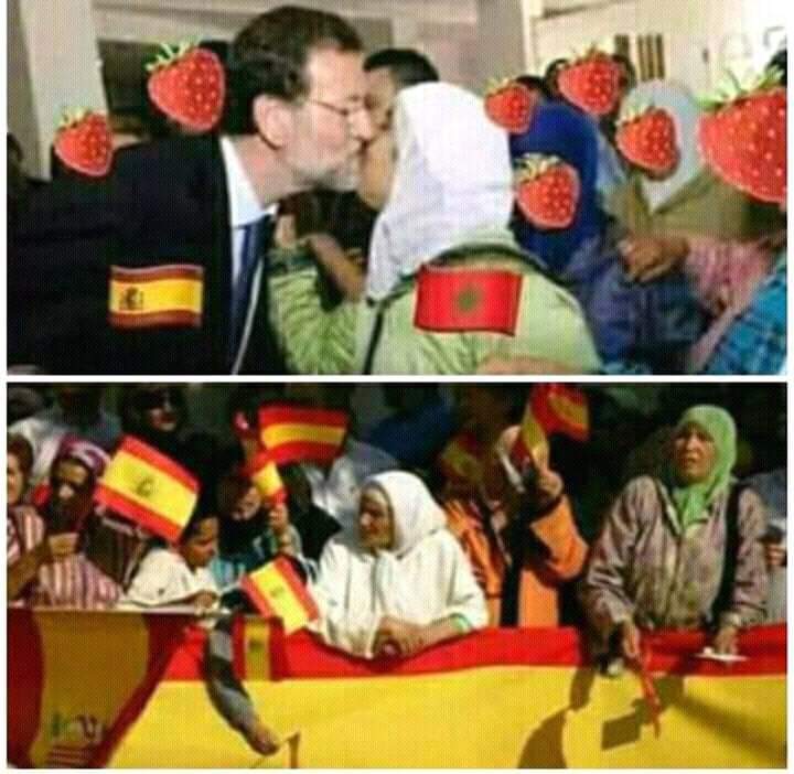 N18Kader's tweet photo. @munichelxulo @hafsi_ahmed1 @salrit نتوما ديراكت 🤣🤣 https://t.co/eqHT4Hy2zv