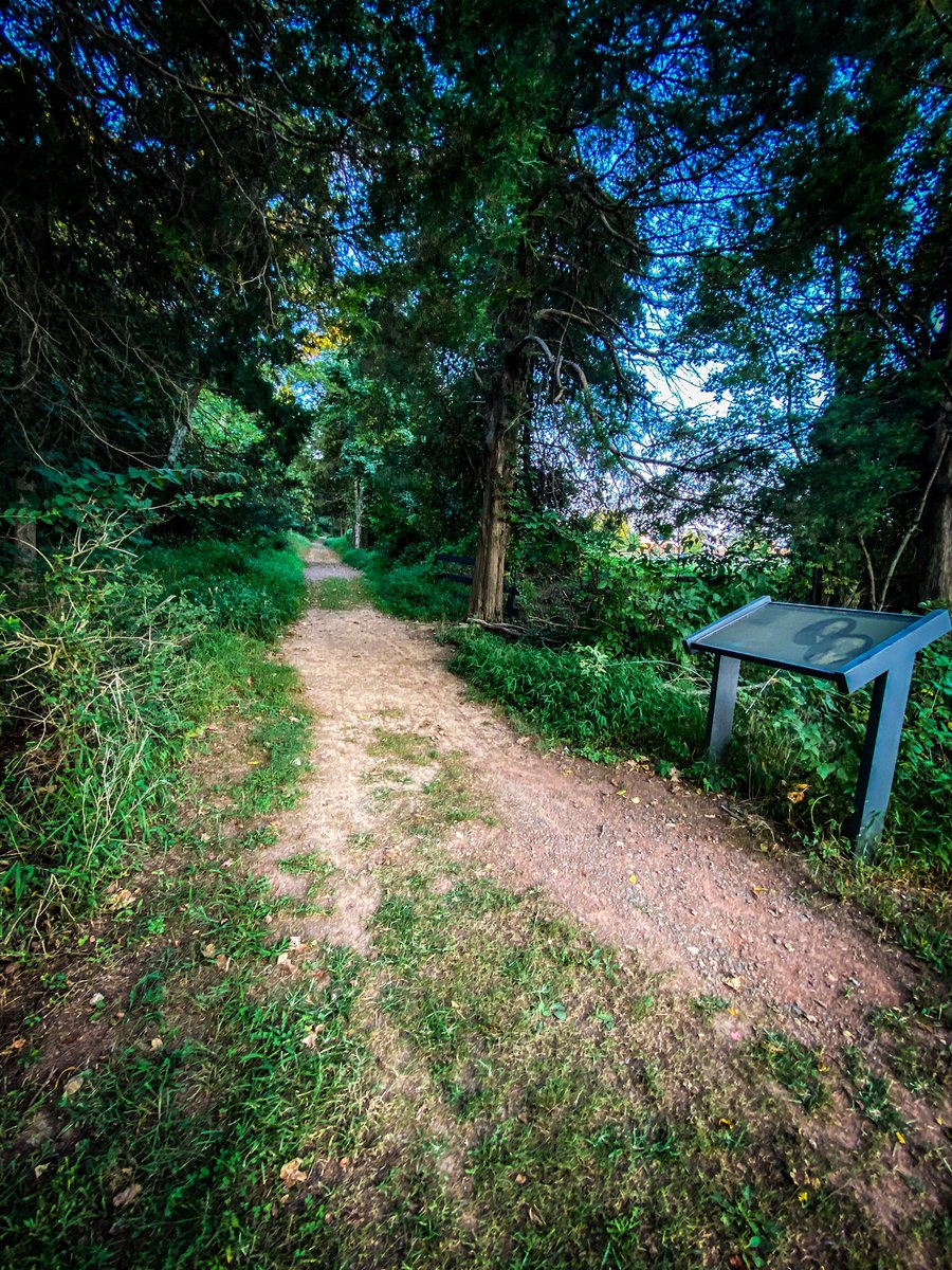 CaitBarron's tweet photo. Took a quick sunset jaunt down Old Vestals Gap Road tonight. Love exploring history. https://t.co/WrjddQ1J0t
