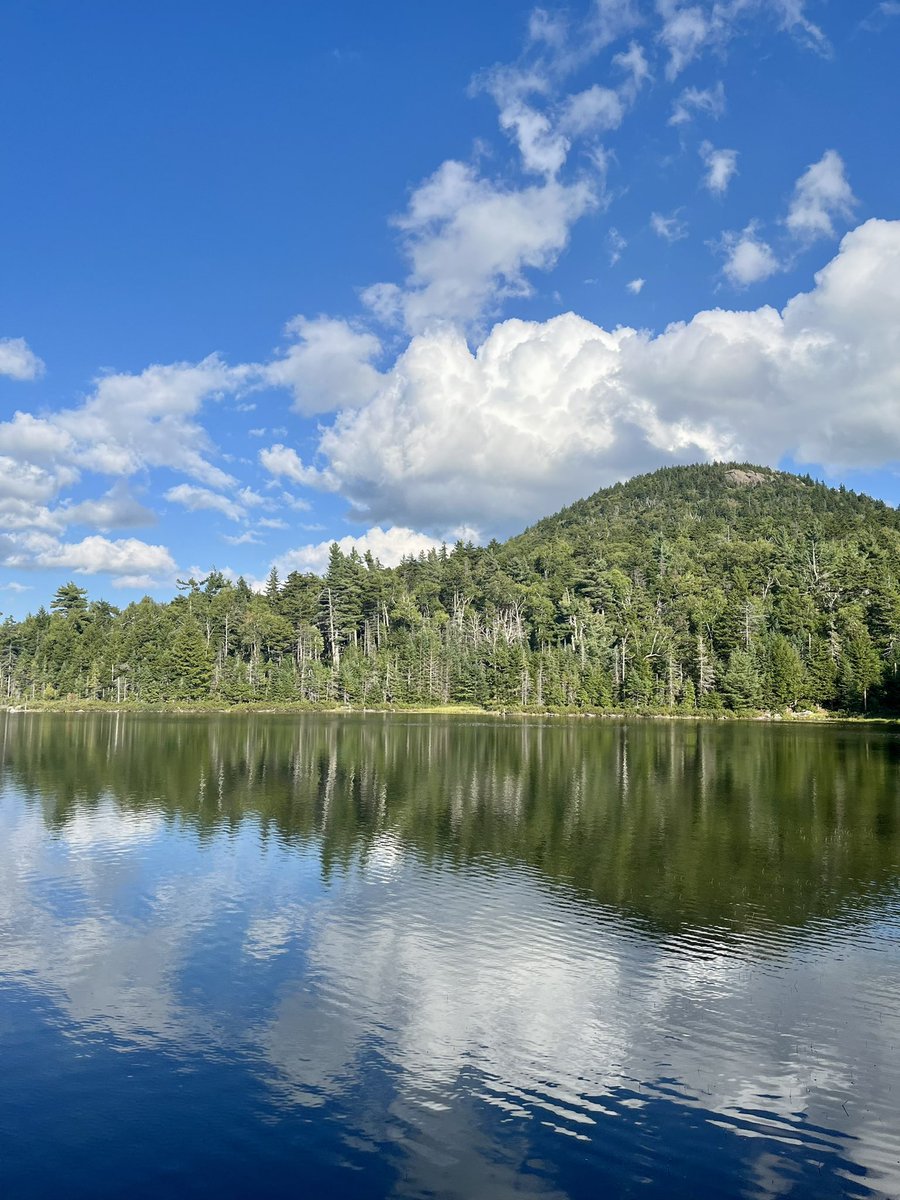 Rebecca McDonald tweet media