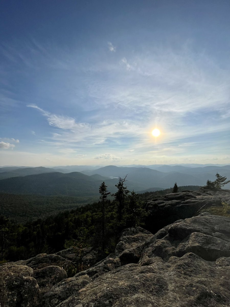 Rebecca McDonald tweet media