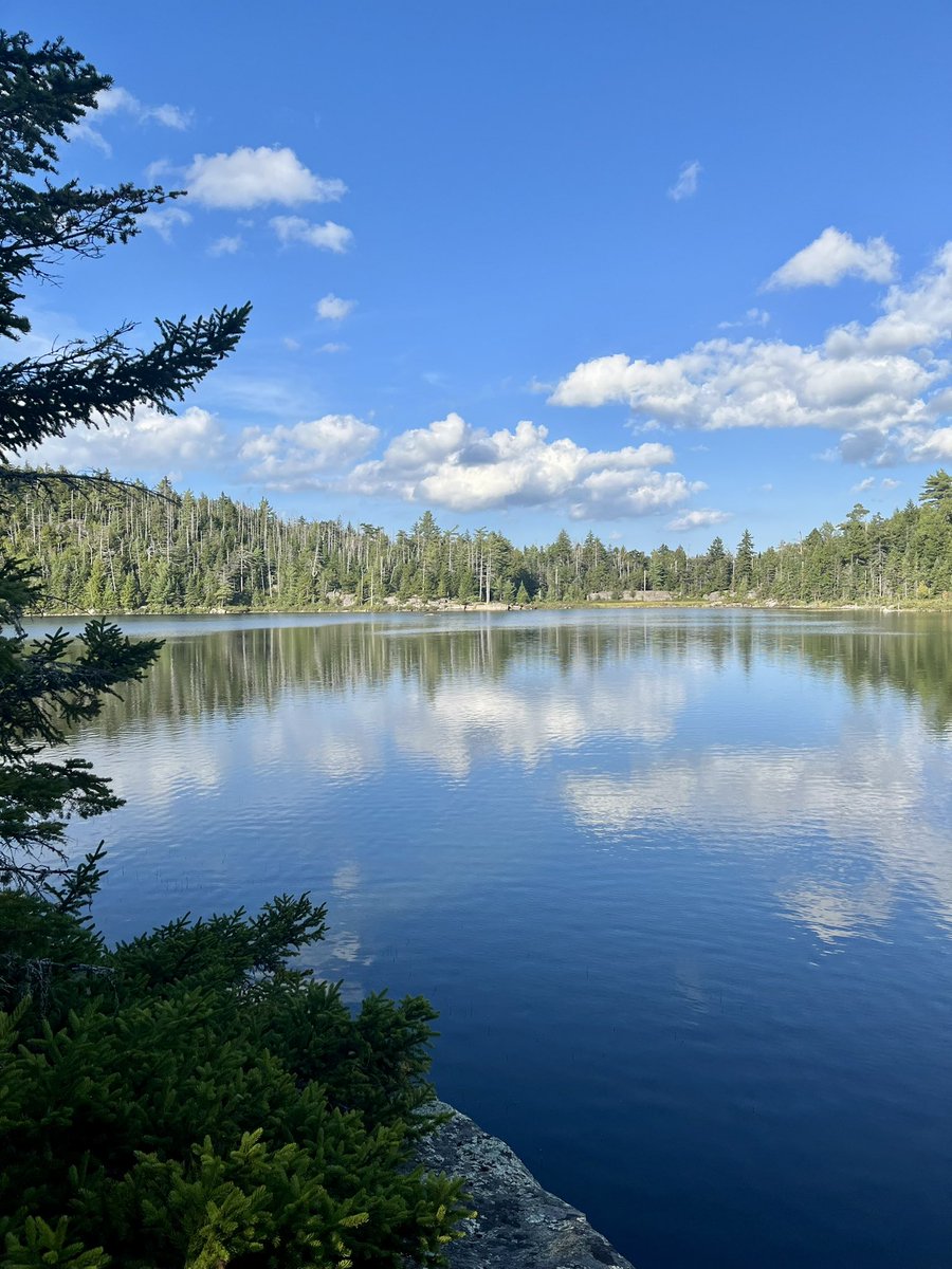 Rebecca McDonald tweet media