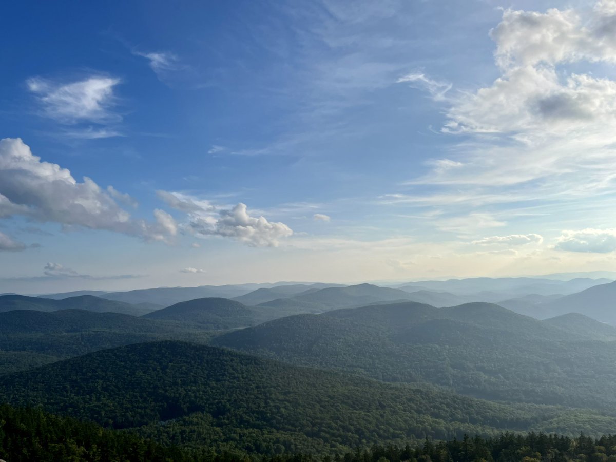 Rebecca McDonald tweet media