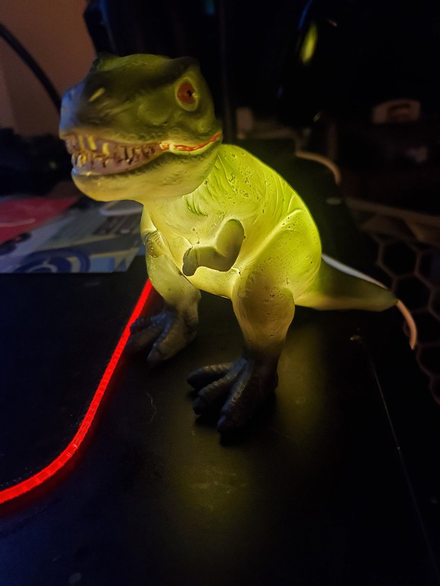 TrueRyanasaurus's tweet image. I return from my travels with a new desk buddy.