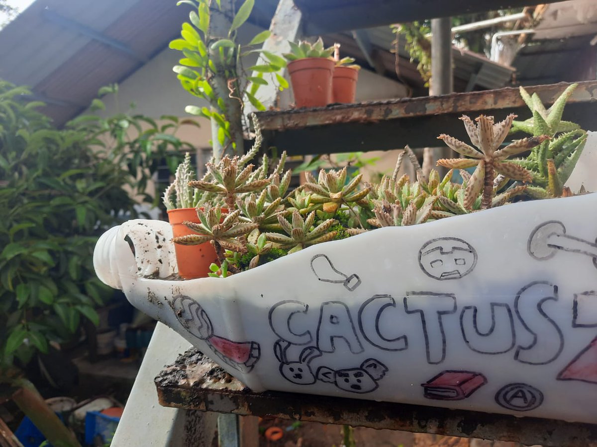 Good morning cactusz 💜🌵🤗🤗