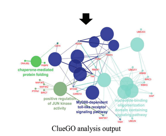 AN_ASP_'s tweet photo. For diseases like #neuronalDamage #chemotherapy is not always effective, thus alternative #medicine like P. ginseng is gaining traction
"Target molecularBased #neuroactivity screening of P. ginseng through network pharmacology integrated molecular docking"
https://t.co/UEypI1bin8 https://t.co/5KMSxxzbYK