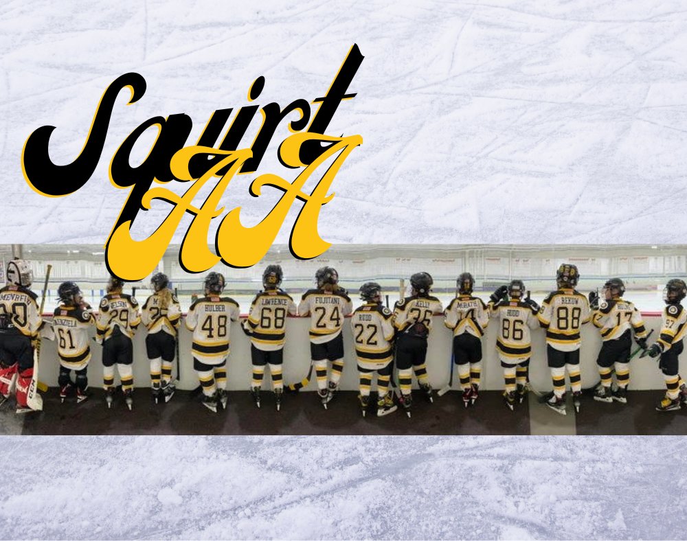 RAHA06877's tweet photo. Great hustle this weekend by the Lions Squirt AA team at the first @EJEPLhockey showcase of the season.

#lionshockey🏒 #thepridestickstogether https://t.co/SNxAmta5Mw