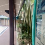 ツイートに含まれる画像