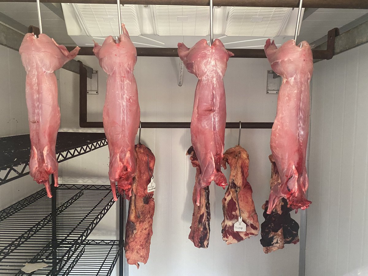 Anna Cochrane tweet media