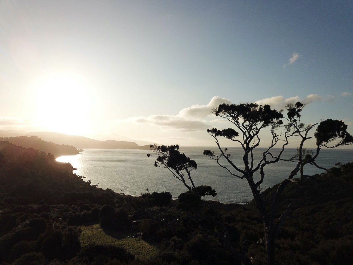 purepods's tweet photo. https://t.co/QXnsdY3KAU

#purepods #puremagic #rakiurastewartisland #ifyouseekit #sustainabletravel #ecoglasscabin https://t.co/EaWanTHnkR