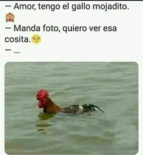 Amigapr's tweet photo. @frigoher64 https://t.co/qrz8XyHx0x