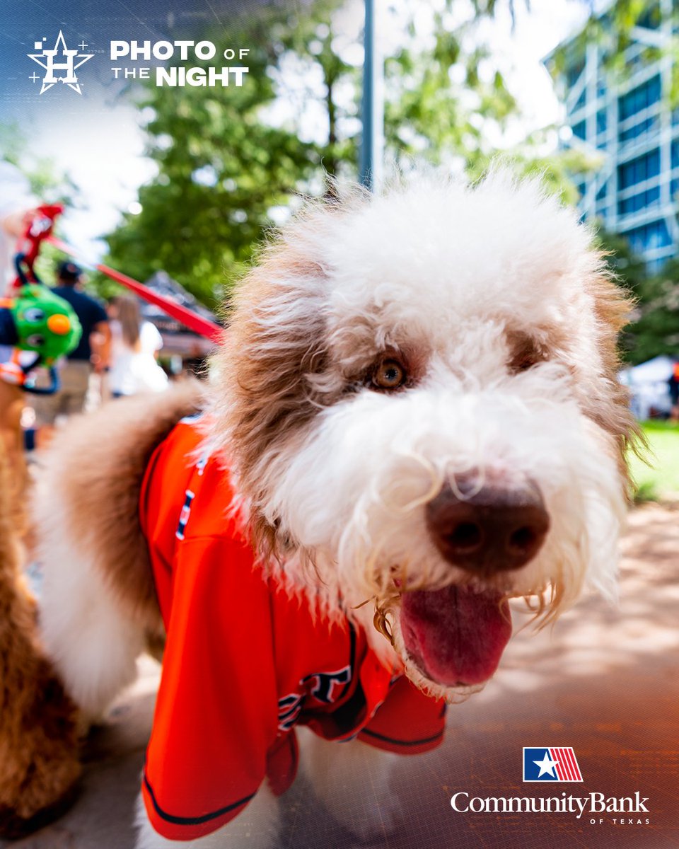 Houston Astros tweet media